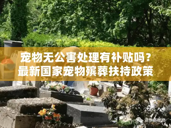 宠物无公害处理有补贴吗？最新国家宠物殡葬扶持政策全面解析
