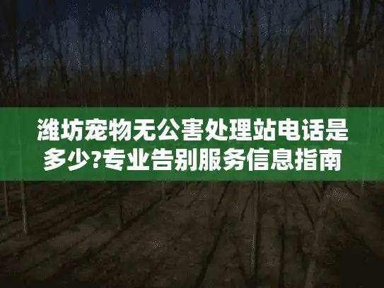 潍坊宠物无公害处理站电话是多少?专业告别服务信息指南