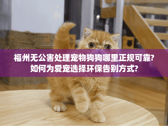 福州无公害处理宠物狗狗哪里正规可靠?如何为爱宠选择环保告别方式?