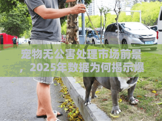 宠物无公害处理市场前景，2025年数据为何揭示爆炸式增长潜力？