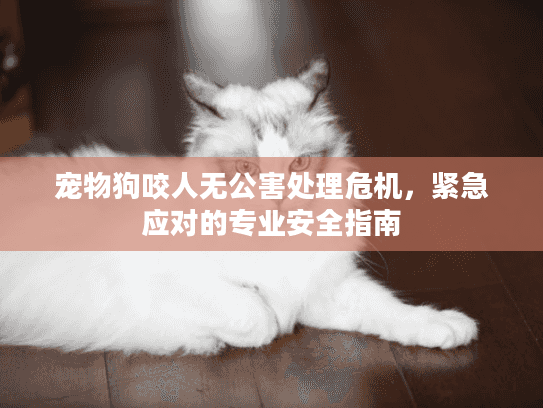 宠物狗咬人无公害处理危机，紧急应对的专业安全指南