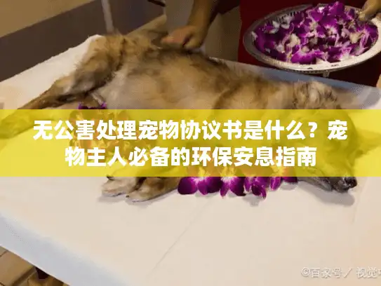 无公害处理宠物协议书是什么？宠物主人必备的环保安息指南