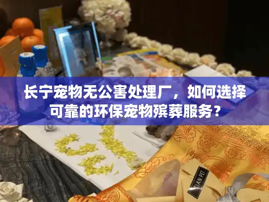 长宁宠物无公害处理厂，如何选择可靠的环保宠物殡葬服务？
