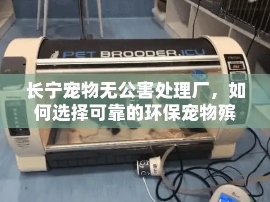 长宁宠物无公害处理厂，如何选择可靠的环保宠物殡葬服务？
