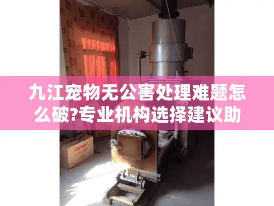 九江宠物无公害处理难题怎么破?专业机构选择建议助你安心 九江宠物无公害处理难题怎么破?专业机构选择建议助你安心