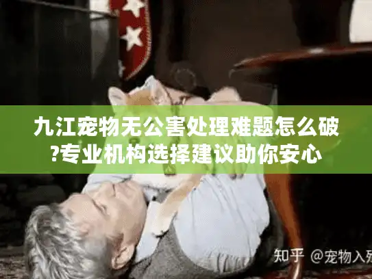 九江宠物无公害处理难题怎么破?专业机构选择建议助你安心 九江宠物无公害处理难题怎么破?专业机构选择建议助你安心