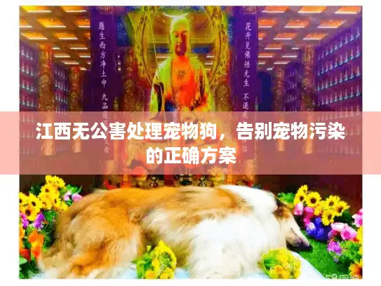 江西无公害处理宠物狗，告别宠物污染的正确方案