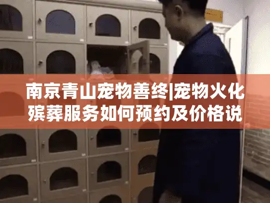 南京青山宠物善终|宠物火化殡葬服务如何预约及价格说明?