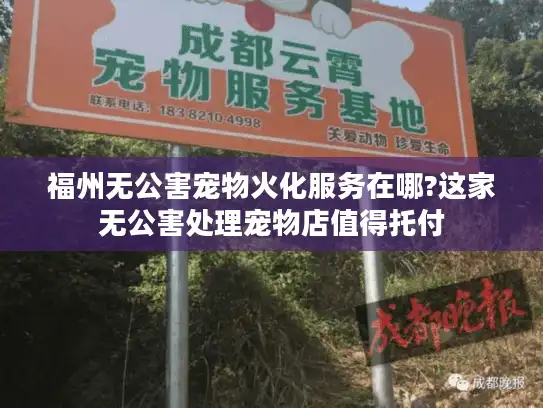 福州无公害宠物火化服务在哪?这家无公害处理宠物店值得托付