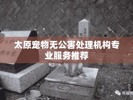 太原宠物无公害处理机构专业服务推荐