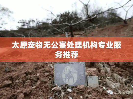 太原宠物无公害处理机构专业服务推荐