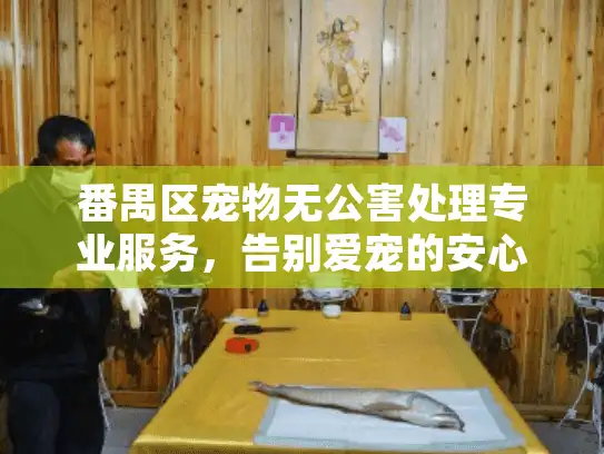 番禺区宠物无公害处理专业服务,告别爱宠的安心环保选择 番禺区宠物无公害处理专业服务,告别爱宠的安心环保选择