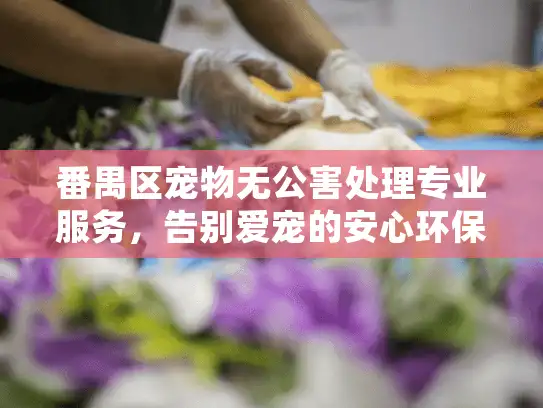 番禺区宠物无公害处理专业服务,告别爱宠的安心环保选择 番禺区宠物无公害处理专业服务,告别爱宠的安心环保选择