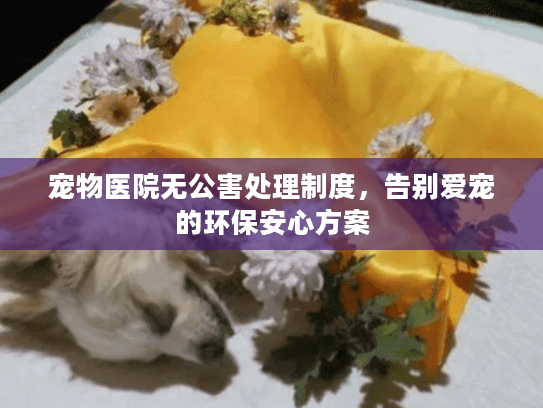 宠物医院无公害处理制度,告别爱宠的环保安心方案 宠物医院无公害处理制度,告别爱宠的环保安心方案