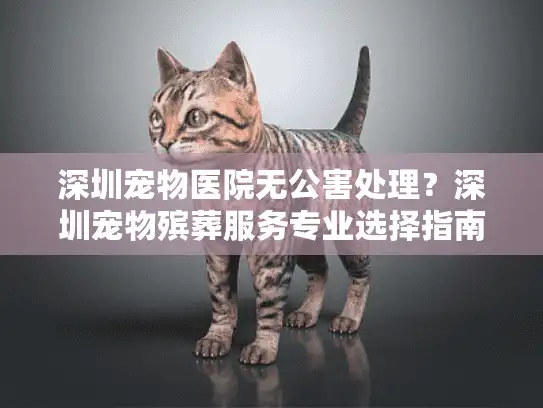深圳宠物医院无公害处理？深圳宠物殡葬服务专业选择指南