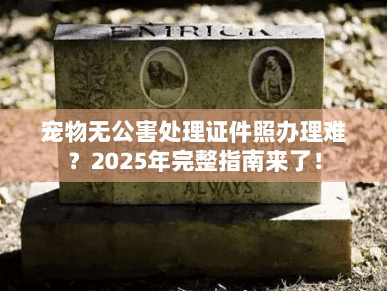 宠物无公害处理证件照办理难？2025年完整指南来了！