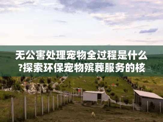 无公害处理宠物全过程是什么?探索环保宠物殡葬服务的核心环节