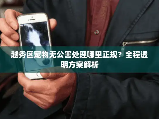 越秀区宠物无公害处理哪里正规？全程透明方案解析