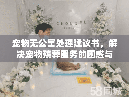 宠物无公害处理建议书，解决宠物殡葬服务的困惑与选择难题