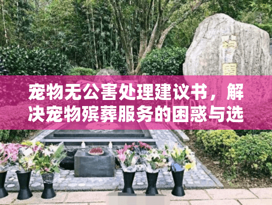 宠物无公害处理建议书，解决宠物殡葬服务的困惑与选择难题