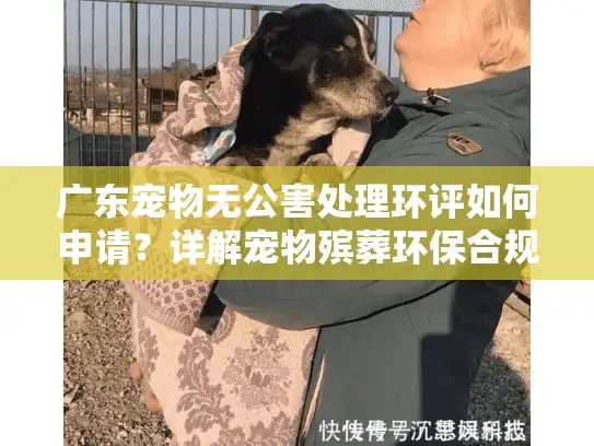 广东宠物无公害处理环评如何申请？详解宠物殡葬环保合规路径