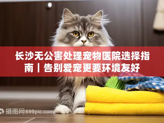 长沙无公害处理宠物医院选择指南｜告别爱宠更要环境友好
