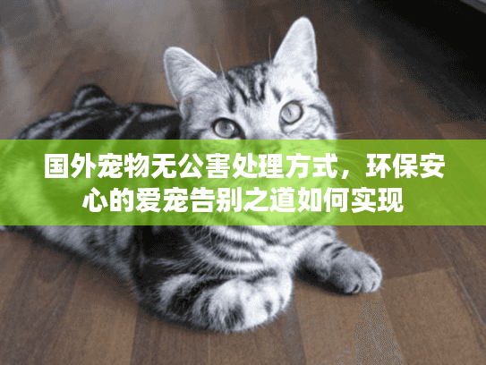 国外宠物无公害处理方式,环保安心的爱宠告别之道如何实现 国外宠物无公害处理方式,环保安心的爱宠告别之道如何实现