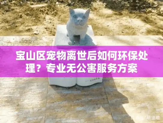 宝山区宠物离世后如何环保处理？专业无公害服务方案