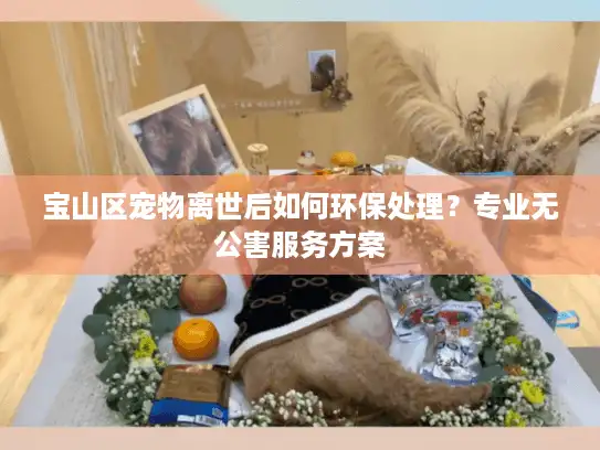 宝山区宠物离世后如何环保处理？专业无公害服务方案