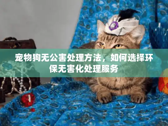宠物狗无公害处理方法，如何选择环保无害化处理服务