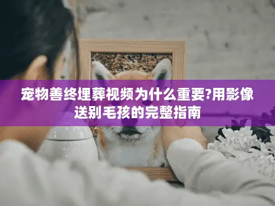 宠物善终埋葬视频为什么重要?用影像送别毛孩的完整指南