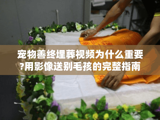 宠物善终埋葬视频为什么重要?用影像送别毛孩的完整指南