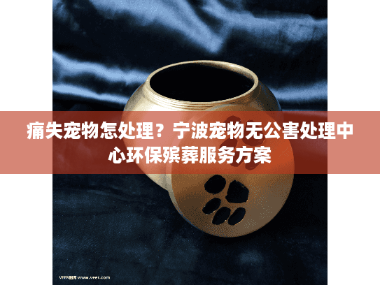 痛失宠物怎处理?宁波宠物无公害处理中心环保殡葬服务方案 痛失宠物怎处理?宁波宠物无公害处理中心环保殡葬服务方案