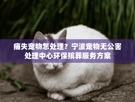 痛失宠物怎处理?宁波宠物无公害处理中心环保殡葬服务方案 痛失宠物怎处理?宁波宠物无公害处理中心环保殡葬服务方案