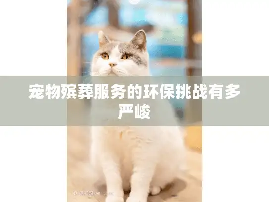 宠物殡葬服务的环保挑战有多严峻