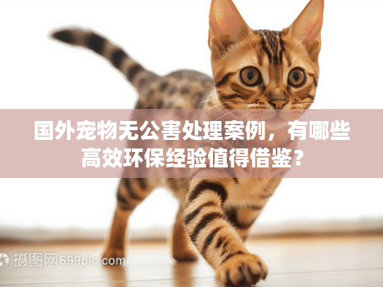 国外宠物无公害处理案例，有哪些高效环保经验值得借鉴？