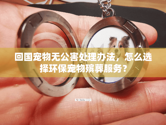 回国宠物无公害处理办法,怎么选择环保宠物殡葬服务? 回国宠物无公害处理办法,怎么选择环保宠物殡葬服务?