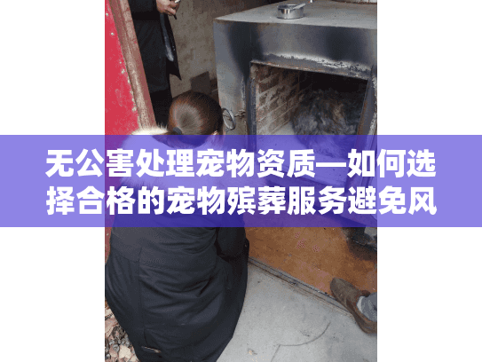无公害处理宠物资质—如何选择合格的宠物殡葬服务避免风险？