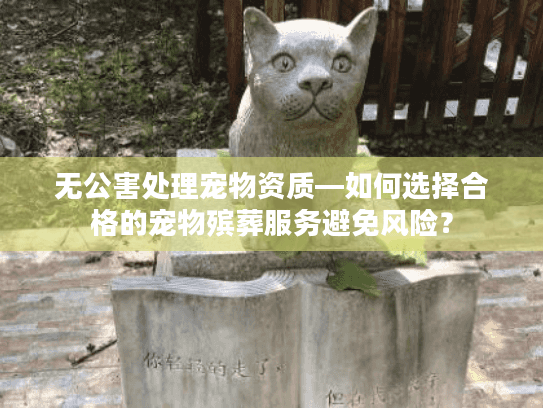 无公害处理宠物资质—如何选择合格的宠物殡葬服务避免风险？