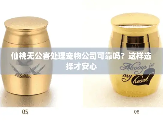 仙桃无公害处理宠物公司可靠吗？这样选择才安心