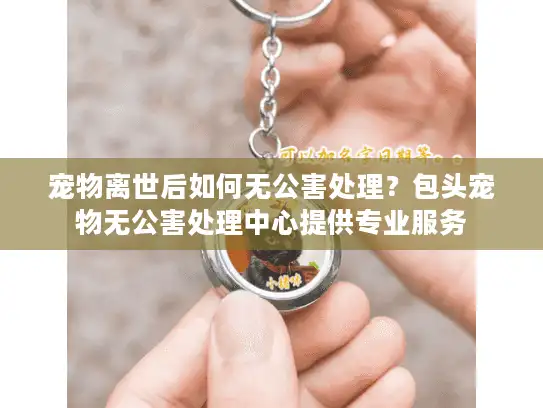 宠物离世后如何无公害处理？包头宠物无公害处理中心提供专业服务