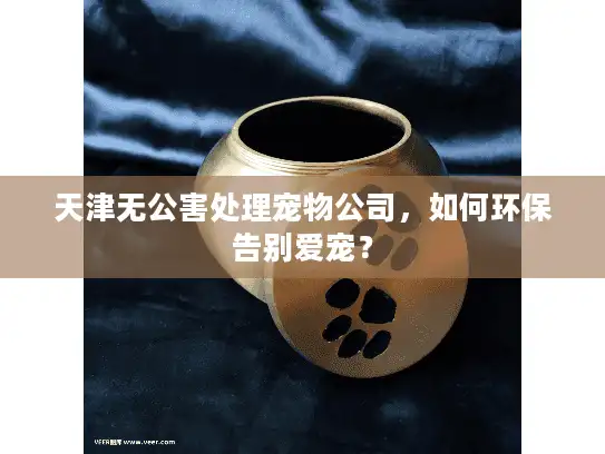 天津无公害处理宠物公司，如何环保告别爱宠？