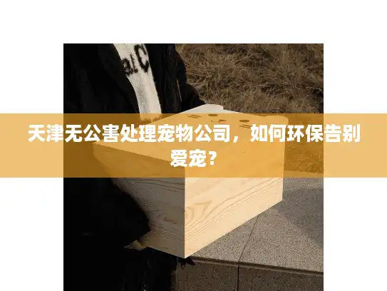 天津无公害处理宠物公司，如何环保告别爱宠？