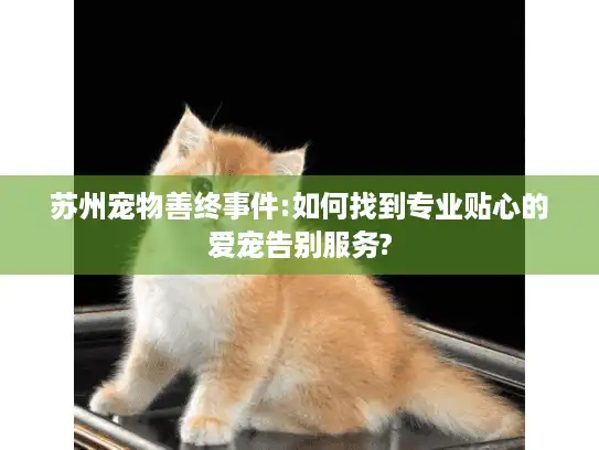 苏州宠物善终事件:如何找到专业贴心的爱宠告别服务? 苏州宠物善终事件:如何找到专业贴心的爱宠告别服务?