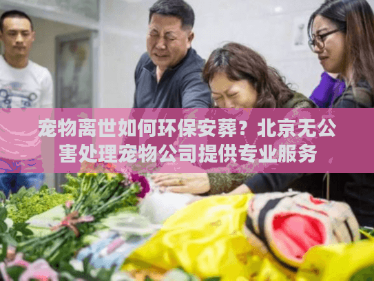 宠物离世如何环保安葬？北京无公害处理宠物公司提供专业服务