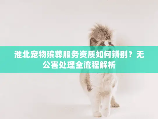 淮北宠物殡葬服务资质如何辨别？无公害处理全流程解析