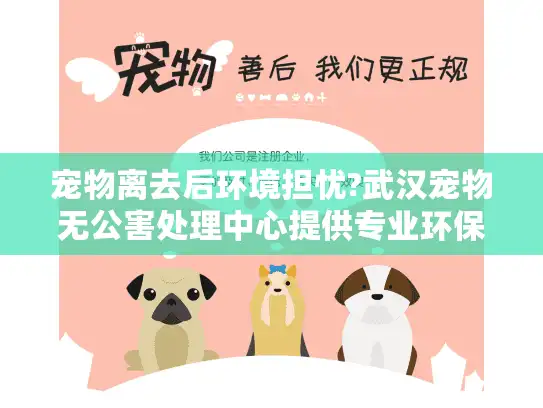 宠物离去后环境担忧?武汉宠物无公害处理中心提供专业环保善终服务