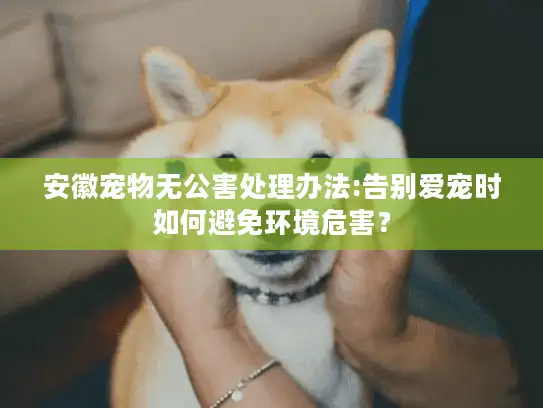 安徽宠物无公害处理办法:告别爱宠时如何避免环境危害？