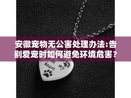 安徽宠物无公害处理办法:告别爱宠时如何避免环境危害？