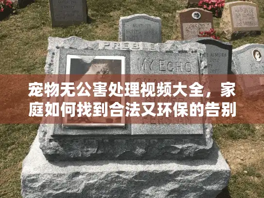 宠物无公害处理视频大全，家庭如何找到合法又环保的告别方式？